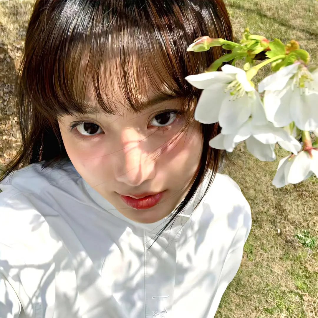 太乙仙魔录第四季 在线观看